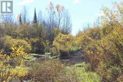N 1/2 NW 1/4 LT 9 BOLEN ROAD S | Morley Ontario | Slide Image Eight