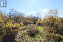 N 1/2 NW 1/4 LT 9 BOLEN ROAD S | Morley Ontario | Slide Image Seven