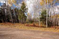 295 BECKWICK ROAD | Thunder Bay Ontario | Slide Image Five