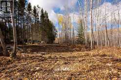 295 BECKWICK ROAD | Thunder Bay Ontario | Slide Image Seven