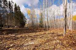 295 BECKWICK ROAD | Thunder Bay Ontario | Slide Image Nine