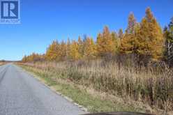 SW 1/4 SEC 22 HWY 600 HIGHWAY | Rainy River Ontario | Slide Image Seven
