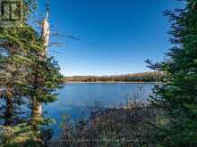 2 NE BAY, BLACK STURGEON ACRES | Kenora Ontario | Slide Image Ten