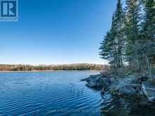 2 NE BAY, BLACK STURGEON ACRES | Kenora Ontario | Slide Image Eleven
