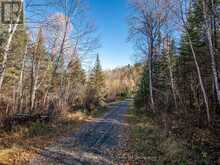 2 NE BAY, BLACK STURGEON ACRES | Kenora Ontario | Slide Image Five