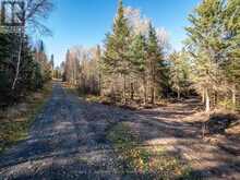 2 NE BAY, BLACK STURGEON ACRES | Kenora Ontario | Slide Image Six