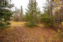 580 11/17 HIGHWAY | Nipigon Ontario | Slide Image Thirty-six