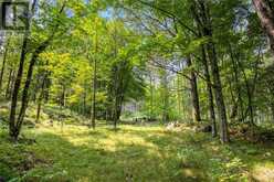 WADDLE CREEK ROAD | Lanark Highlands Ontario | Slide Image Sixteen