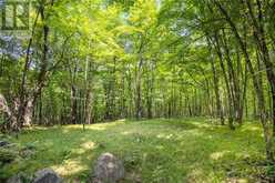 WADDLE CREEK ROAD | Lanark Highlands Ontario | Slide Image Twenty