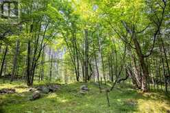 WADDLE CREEK ROAD | Lanark Highlands Ontario | Slide Image Twenty-one