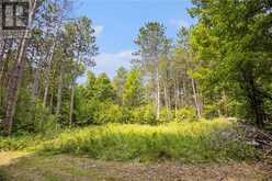 WADDLE CREEK ROAD | Lanark Highlands Ontario | Slide Image Two