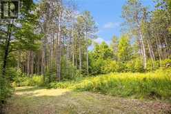 WADDLE CREEK ROAD | Lanark Highlands Ontario | Slide Image Three