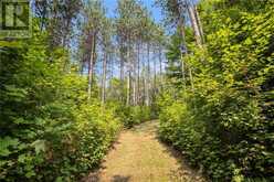 WADDLE CREEK ROAD | Lanark Highlands Ontario | Slide Image Nine