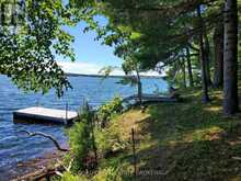 LOT 23 UPPER RIDEAU LAKE | Westport Ontario | Slide Image Eleven