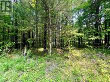 P7 CLEAR LAKE ROAD | Rideau Lakes Ontario | Slide Image Two