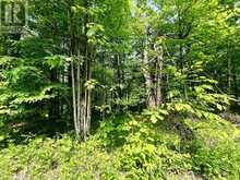 P7 CLEAR LAKE ROAD | Rideau Lakes Ontario | Slide Image Three