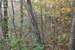 2209 JOCHEM ROAD | North Grenville Ontario | Slide Image Eleven