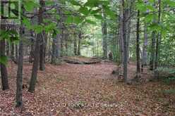2209 JOCHEM ROAD | North Grenville Ontario | Slide Image Thirteen