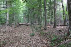 2209 JOCHEM ROAD | North Grenville Ontario | Slide Image Nine