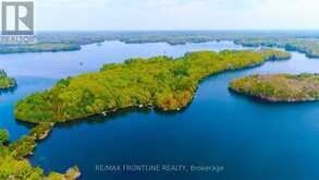 41 SAND-BIRCH ISLAND | Rideau Lakes Ontario | Slide Image Five