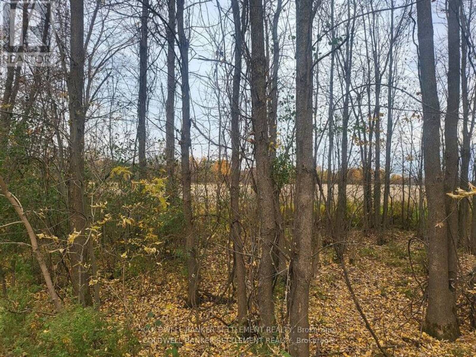 LOT 5 BUSH ROAD, Rideau Lakes, Ontario K0G 1E0