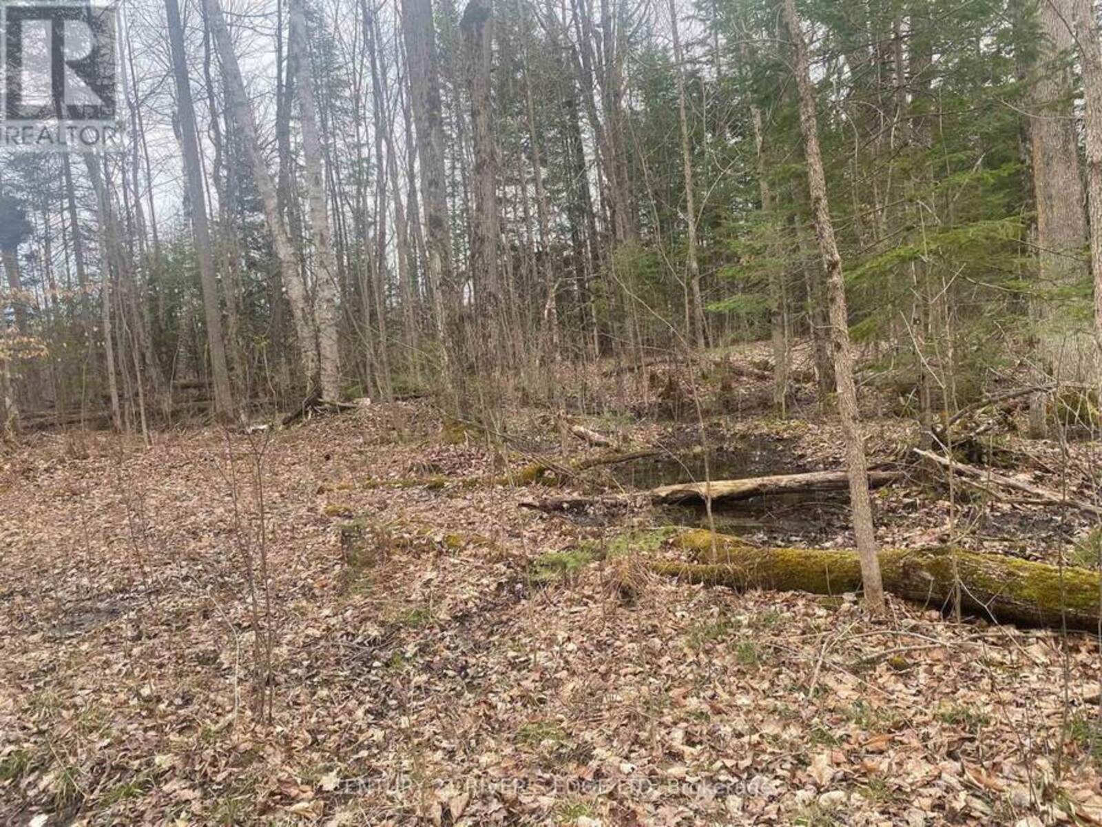 00 COUNTY RD 44 ROAD, Edwardsburgh-Cardinal, Ontario K0E 1X0