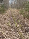00 COUNTY RD 44 ROAD | Edwardsburgh-Cardinal Ontario | Slide Image Two