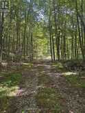 LOT 3 HILARY WAY SCOTCH LINE ROAD | Perth Ontario | Slide Image Three