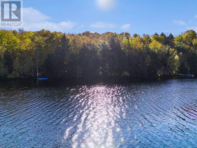 197 SHADY MAPLE ROAD Greater Madawaska Ontario, K0J 1G0 - Waterfront Land For Sale