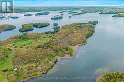395 TAR ISLAND | Leeds and the Thousand Islands Ontario | Slide Image Four