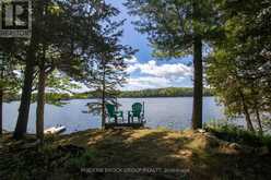 32 BUCK ISLAND | Leeds and the Thousand Islands Ontario | Slide Image Thirteen