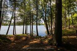 32 BUCK ISLAND | Leeds and the Thousand Islands Ontario | Slide Image Eighteen