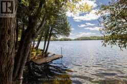32 BUCK ISLAND | Leeds and the Thousand Islands Ontario | Slide Image Nineteen