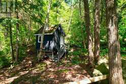 32 BUCK ISLAND | Leeds and the Thousand Islands Ontario | Slide Image Twenty-one