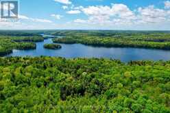 32 BUCK ISLAND | Leeds and the Thousand Islands Ontario | Slide Image Forty-three