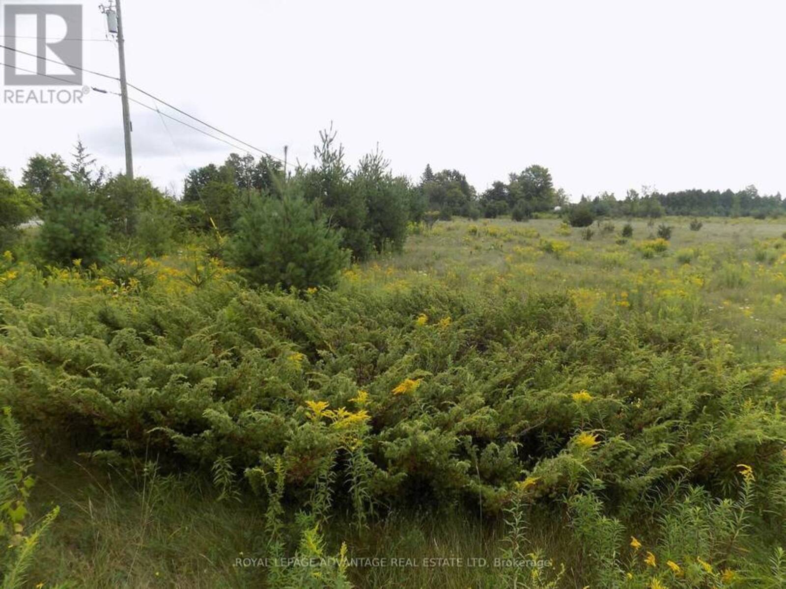 00 HWY 43 HIGHWAY W, Perth, Ontario K7H 3C7