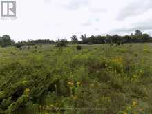 00 HWY 43 HIGHWAY W | Perth Ontario | Slide Image Five