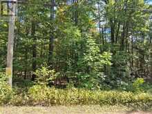 PT1LT18 ISTHMUS ROAD | Rideau Lakes Ontario | Slide Image Nine