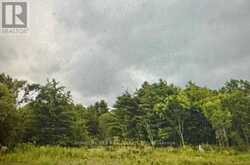 1310 COUNTY ROAD 2 ROAD | Leeds and the Thousand Islands Ontario | Slide Image Four