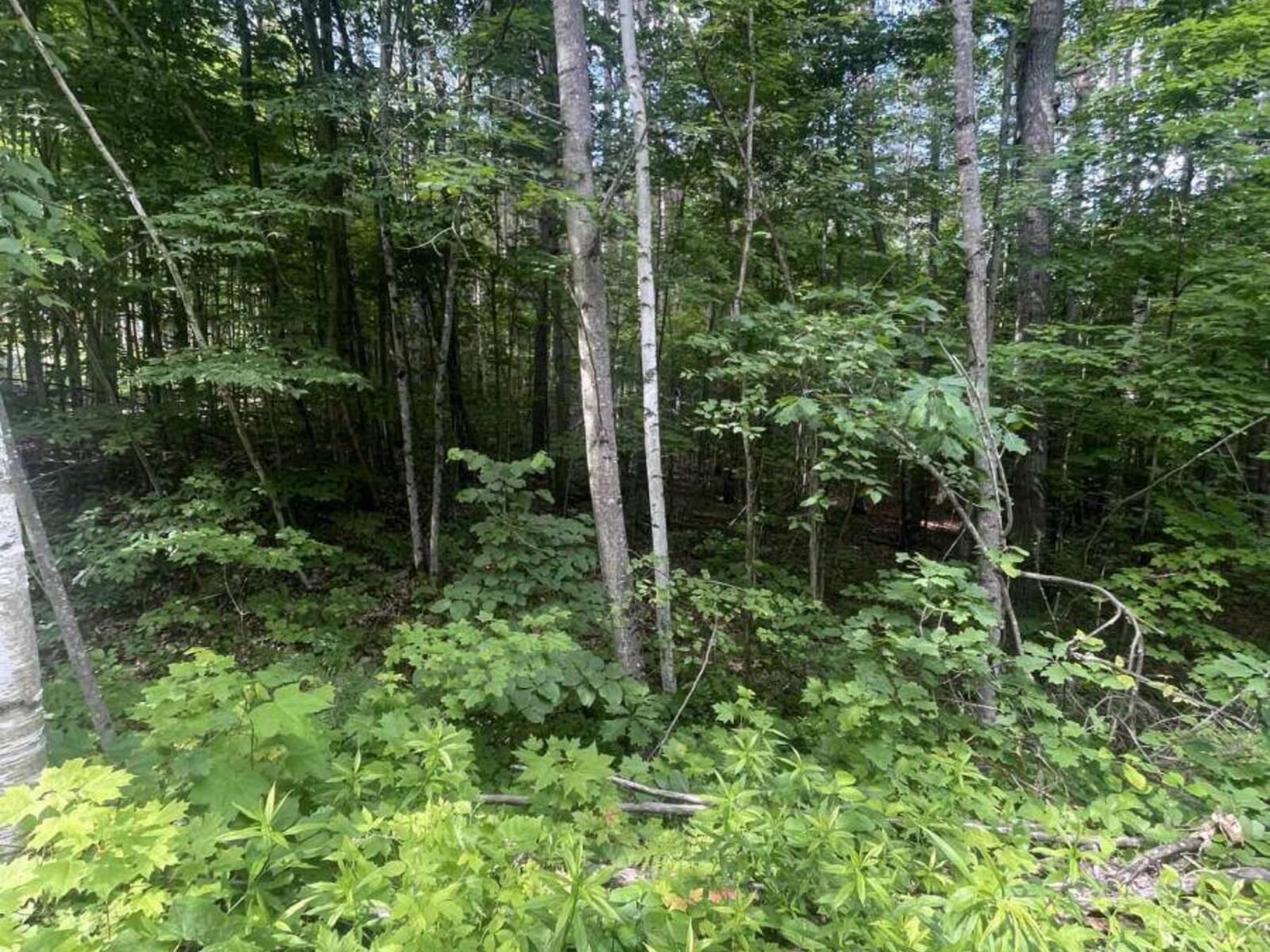 0 POND ROAD, Tay Valley, Ontario K0H 2B0