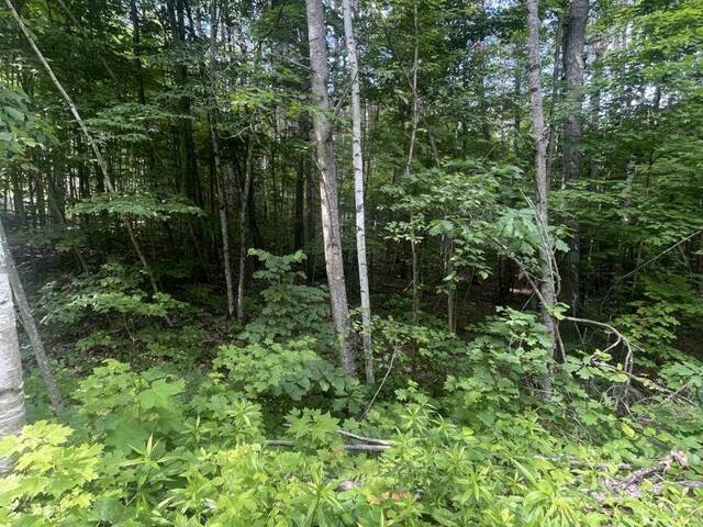 0 POND ROAD Tay Valley Ontario, K0H 2B0 - Vacant Land For Sale