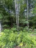 0 POND ROAD | Tay Valley Ontario | Slide Image One