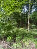 0 POND ROAD | Tay Valley Ontario | Slide Image Three