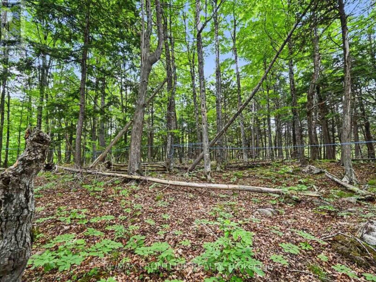 634 CONCESSION 5A DALHOUSIE, Lanark, Ontario K0G 1K0