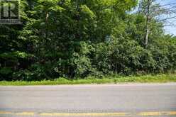 0 GRAHAM LAKE ROAD | Mallorytown Ontario | Slide Image Six