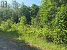 8300 KLITBO ROAD | Augusta Ontario | Slide Image Four