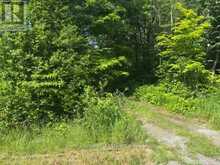 8300 KLITBO ROAD | Augusta Ontario | Slide Image Five