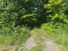 8300 KLITBO ROAD | Augusta Ontario | Slide Image Six