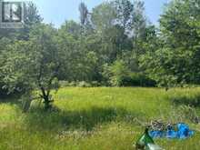 8300 KLITBO ROAD | Augusta Ontario | Slide Image Nine