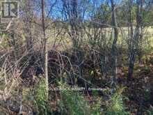 LOT FLAGG ROAD | Iroquois Ontario | Slide Image Seventeen